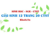 Giải Sinh 12 trang 20 Chân trời Sáng tạo